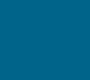 RENAULT MASTER BLEU SAVIEM 1967 - 2021 423