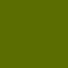 Kawasaki Candy-Lime-Green All Models 2010 17P/8N/KAW9057