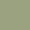 Peugeot All Models Chrystal-Green P11 1983 Touch Up Paint