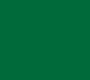 RENAULT RVI VERT SCREG 1990 - 2005 994