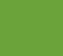 PORSCHE 911 PISTACHIO 2017 - 2021 1H