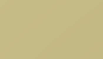 Ral 1000 Green Beige Paint - Touch Up