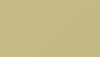 Ral 1000 Green Beige Paint - Touch Up