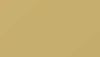 Ral 1002 Sand Yellow Paint - Touch Up
