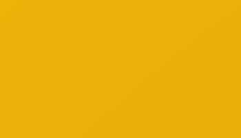 Ral 1003 Signal Yellow Paint - Touch Up