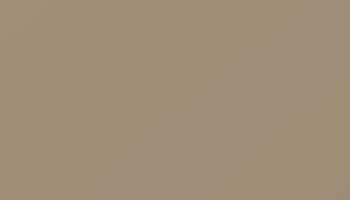 Ral 1019 Grey Beige Paint - Touch Up