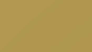 Ral 1024 Ochre Yellow Paint - Touch Up