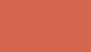 Ral 2012 Salmon Orange Paint - Touch Up