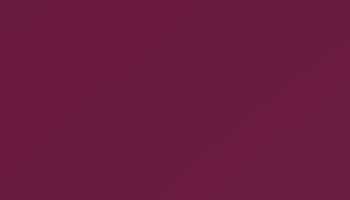 Ral 4004 Claret Violet Paint - Touch Up