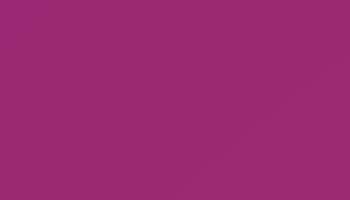 Ral 4007 Purple Violet Paint - Touch Up