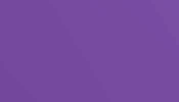 Ral 4011 Pearl Violet Paint - Touch Up