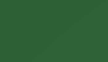 Ral 6002 Leaf Green Paint - Touch Up