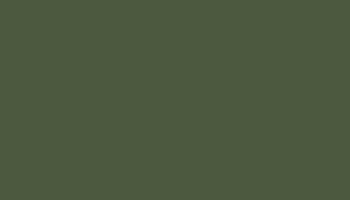 Ral 6003 Olive Green Paint - Touch Up
