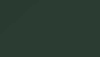 Ral 6009 Fir Green Paint - Touch Up