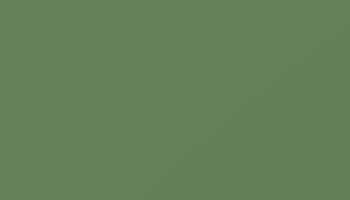 Ral 6011 Reseda Green Paint - Touch Up