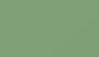 Ral 6021 Pale Green Paint - Touch Up