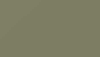 Ral 7002 Olive Grey Paint - Touch Up