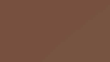 Ral 8002 Signal Brown Paint - Touch Up