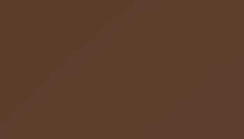 Ral 8011 Nut Brown Paint - Touch Up