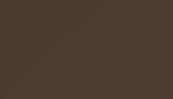 Ral 8014 Sepia Brown Paint - Touch Up