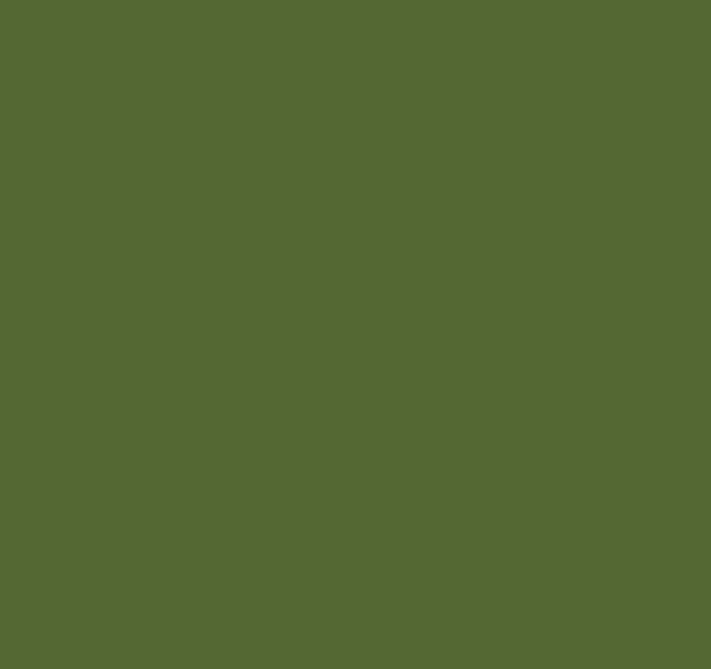 Amazone Green Paint