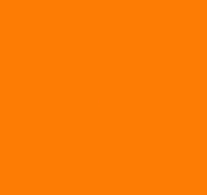 Amazone Orange Paint