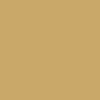 Citroen All Models Champagne 1979 238/AC238 Paint