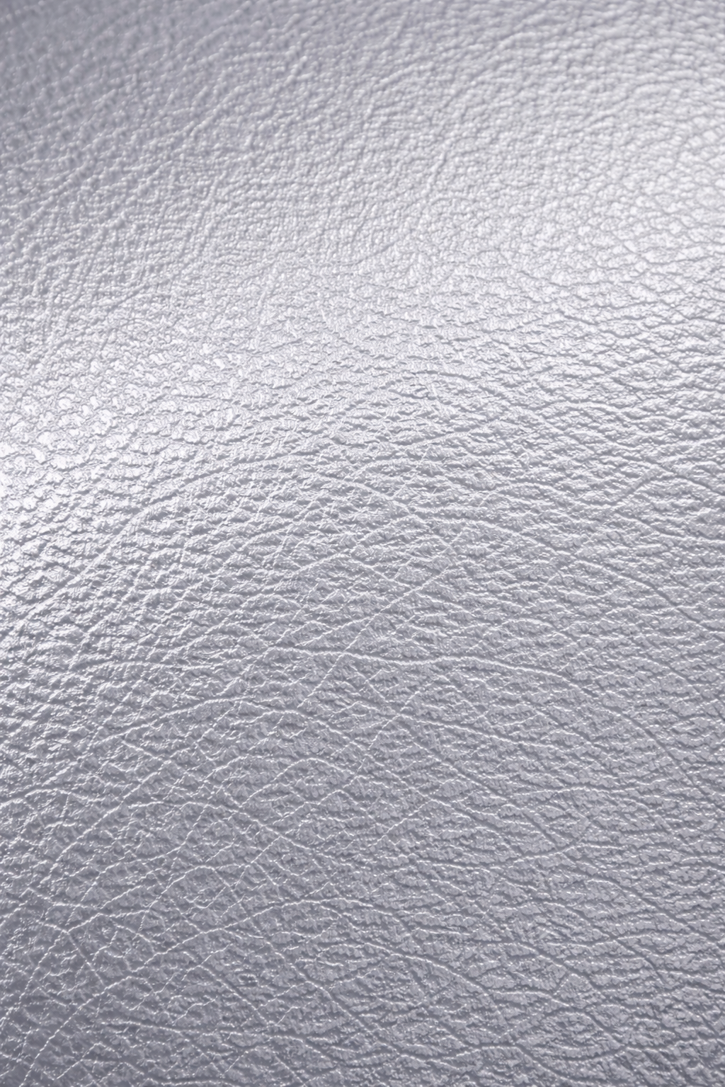 Wrinkle Silver Touch Up Paint – Textured Finish | Heat Resistant Crinkle Coating