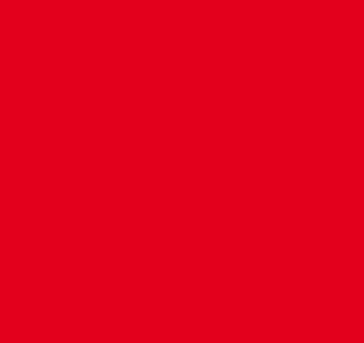 Kuhn Orange Paint