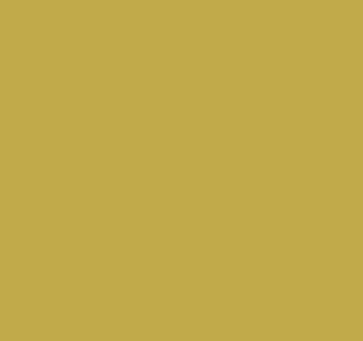 Primer Beige