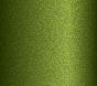 ROVER All Models TRITON GREEN-MET. 1980 - 1983 HAG