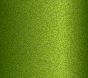 CHRYSLER DODGE CHARGER SUBLIME GREEN-MET. 2007 - 2023 FFB