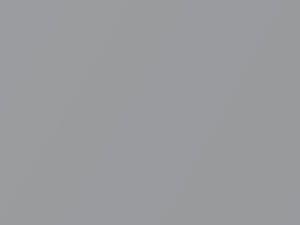 Hyundai Excel Glacier Silver Metallic 1993 MW