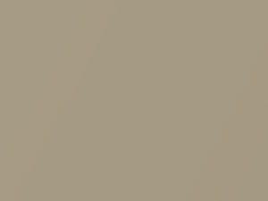 Audi A4 Bambus Metallic 1991 9956, LY1Z, U2