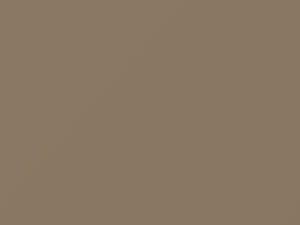 Ford All Models Pastel Sandalwood 1989 64, AY, M6333A - Scratch Repair