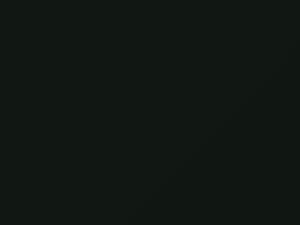 Austin Rover All Models British Racing Grn 1962 GN25 - Scratch Repair