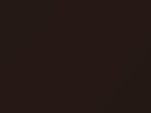 Chevrolet All Models Dark Brown Metallic 1986 69, 8598, WA8598 - Scratch Repair