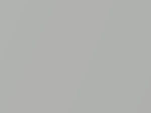 Volkswagen All Models Diamond Silver Metallic 1991 L97A