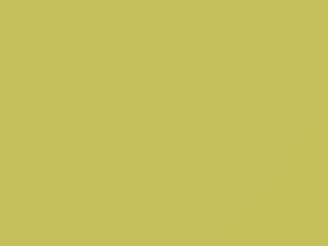 Mitsubishi All Models Yellow 2011 AC10851, Y51