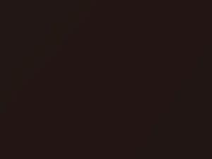 Ford Escape Dark Mocha Metallic 2014 6477, DW, M6477A, MJ-6477 - Scratch Repair