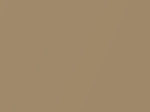 Cadillac All Models Light Chestnut Metallic 1987 58, 8575, WA8575 - Scratch Repair