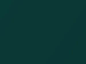 BMW 3 Series Cabrio Lagunengruen Metallic 1993 266