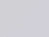 Chrysler All Models Bright White 1986 AY95EW5, PW5