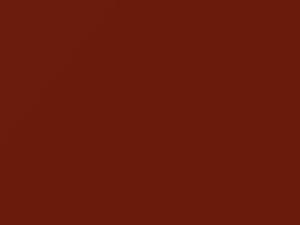 Hyundai Santro Tango Red Metallic 2011 N8