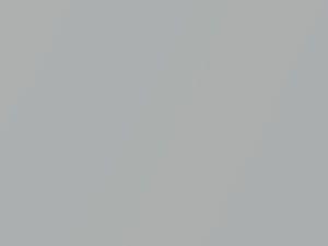 Nissan All Models Silver/Silver Frost Metallic 1996 549 - Scratch Repair