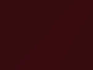 Lexus All Models Burgundy Pearl 1993 3H8