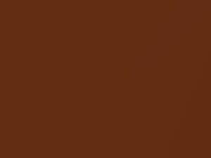 Datsun All Models Light Brown Metallic 1975 301