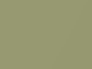 Ford All Models Lime Gold Metallic 1969 I, M2041A