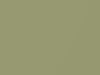 Ford All Models Lime Gold Metallic 1969 I, M2041A
