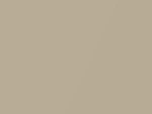 Acura Legend Bahama Gold Metallic 1988 YR82M